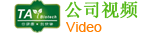 ϵ