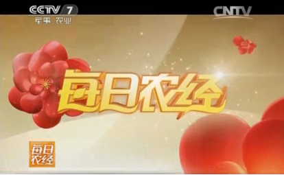 中央《每日农经》实录,牛樟芝堪比黄金