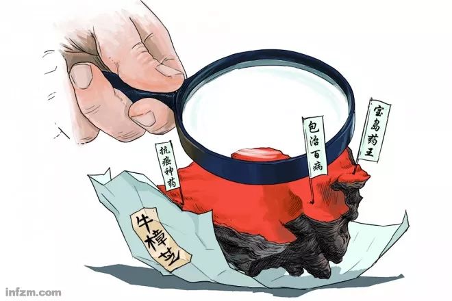 牛樟芝能“包治百病”,真的有那么神吗?