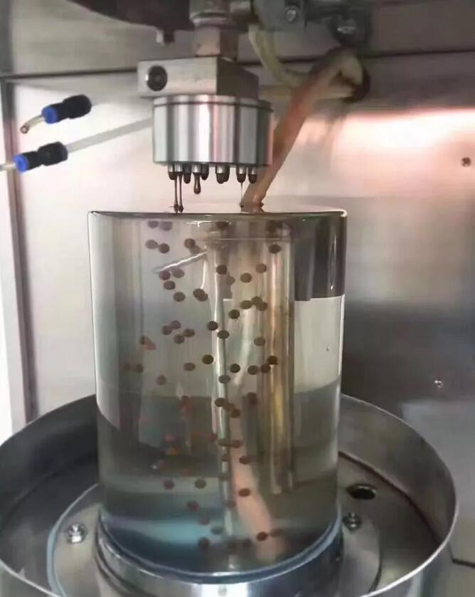 牛樟芝滴丸的生产工艺